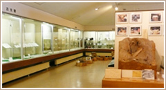鹿角市鉱山歴史館
