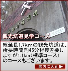 観光坑道見学コース